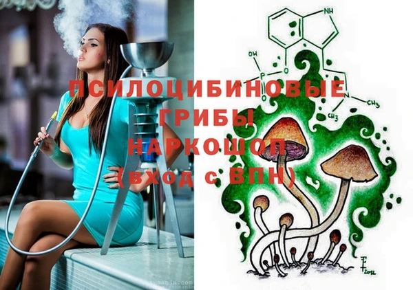 прущие крисы Магадан